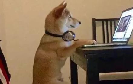 今日头条狗都不看,揭秘今日头条热门内容背后的冷思考