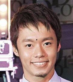 明星林嘉,星光璀璨的影视新星