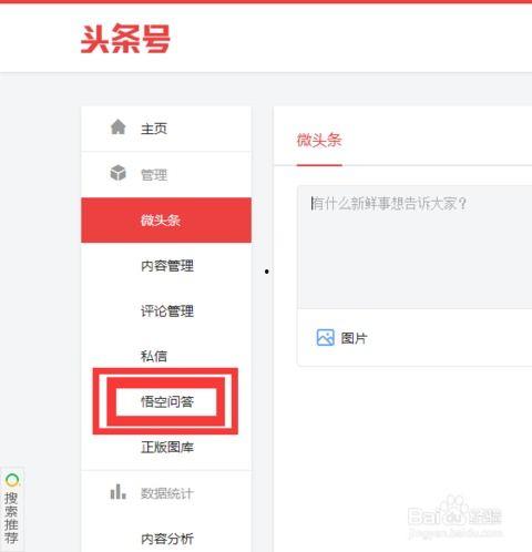 怎样在头条悟空里提问,轻松掌握提问技巧，高效获取知识解答