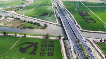 晋江市 网红打卡景点,探寻这座城市的时尚魅力之地