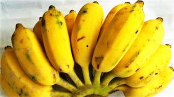 蕉柏吃瓜,探寻夏日消暑美食之旅