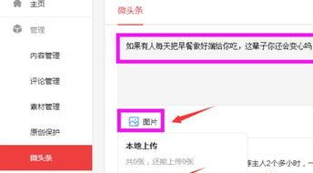 今日的微头条如何发表,揭秘热门话题背后的故事与观点