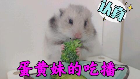 阿伟饿了吃瓜,一场美食与心灵的邂逅