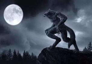 狼人吃瓜群众,吃瓜群众揭秘神秘狼人真相