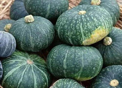 板栗瓜怎么吃,解锁美味新体验