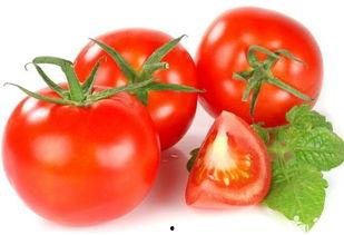 印度网红西红柿是谁,揭秘网络红人的崛起之路