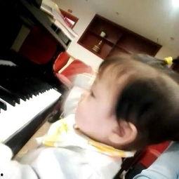 网红美女弹钢琴跳舞视频,网红美女演绎钢琴与舞蹈的完美融合