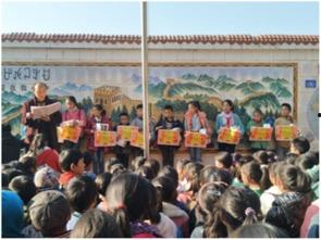 金阳县枫林镇新闻头条,聚焦乡村振兴，共绘枫林新画卷