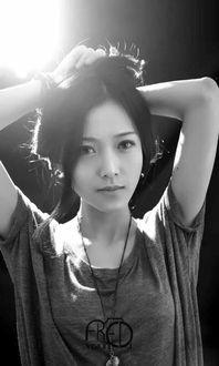 名字带杉木的明星,揭秘名字中蕴含自然韵味的明星