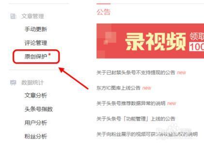 头条号小说作者信息审核,审核背后的故事与智慧