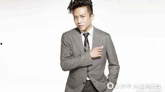 综艺节目男明星,综艺节目中的魅力男星风采