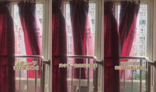 网红窗帘收藏,打造家居时尚新潮流
