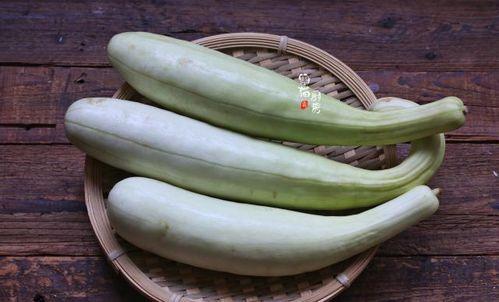 茅草瓜怎么吃最好吃,探索最佳食用方法