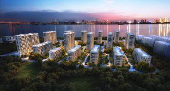 网红武汉金辉,网红背后的奋斗与魅力