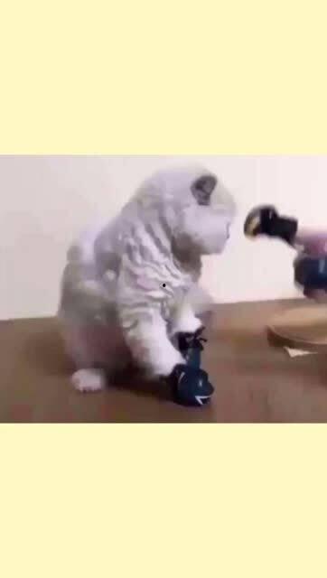 吃瓜容易挨揍,揭秘“吃瓜容易挨揍”背后的真相